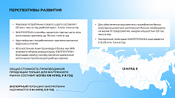Создание производства пищевого белка - ознакомительный фрагмент презентации - 3